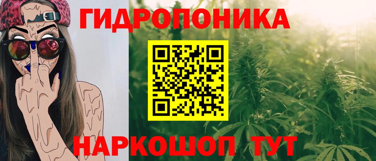 Бошки марихуана AK-47 Грязи